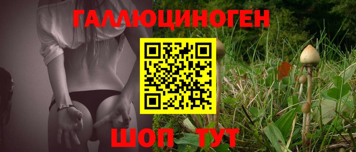 Астрахань  Псилоцибиновые грибы ЛСД  Вход с VPN  Галлюциногенные грибы Psilocybine cubensis 